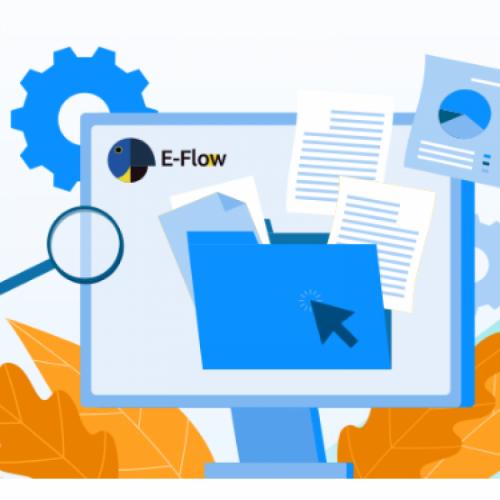 E-Flow DMS